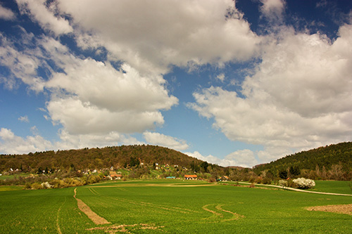 Pani Haj