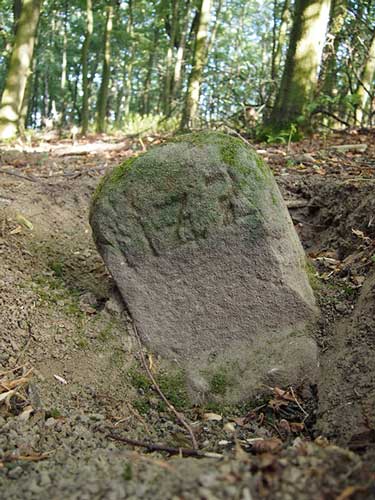Nejstarší