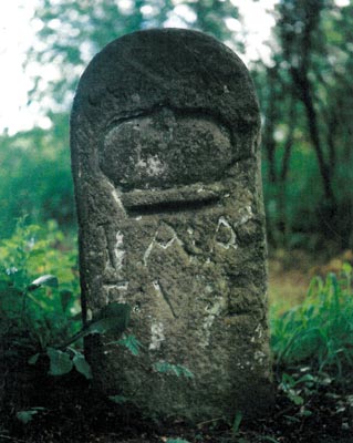 Ukradený