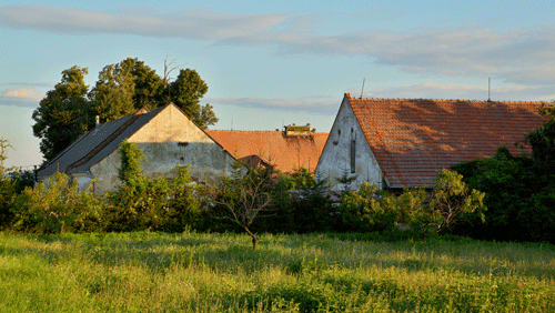 dvur
